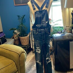 American Eagle jegging overalls